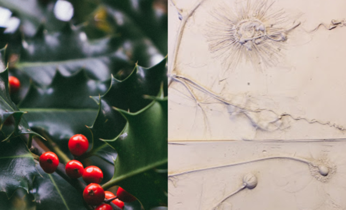 Have a Dabble: Holly & Ivy Plaster Plaques