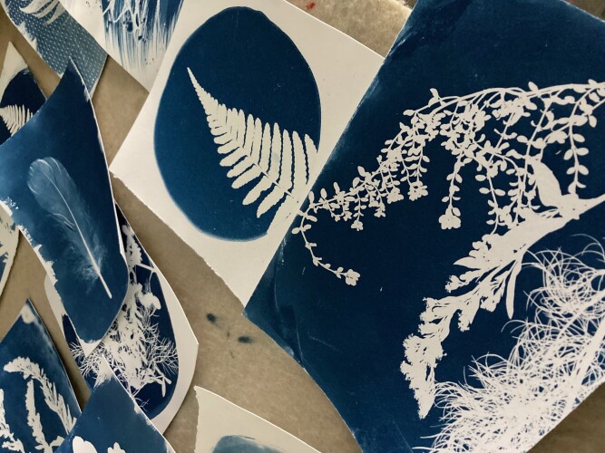cyanotypes, one of the summer courses at the art house